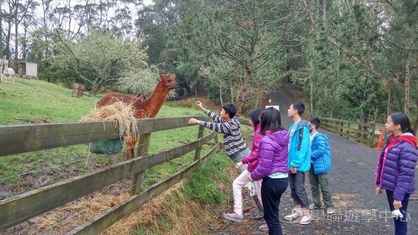 新西蘭農莊體驗之旅,學聯遊學團