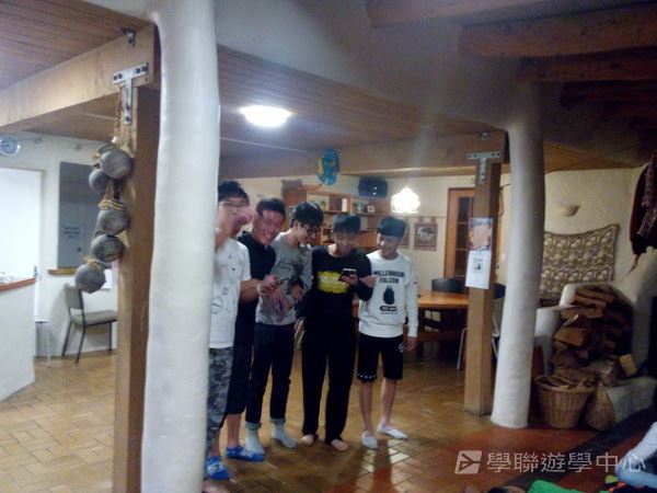 新西蘭農莊體驗之旅,學聯遊學團