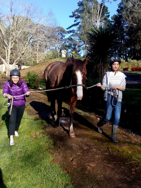 新西蘭農莊體驗之旅,學聯遊學團