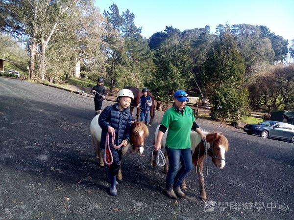 新西蘭農莊體驗之旅,學聯遊學團
