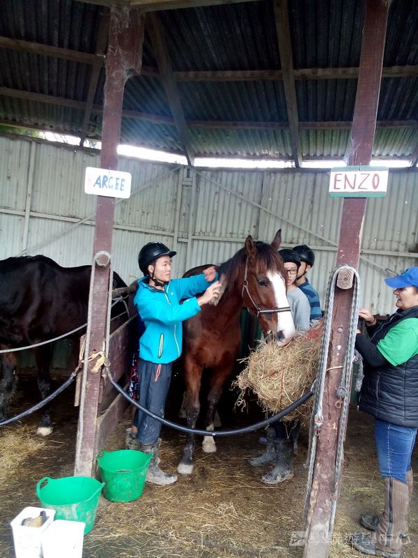 新西蘭農莊體驗之旅,學聯遊學團