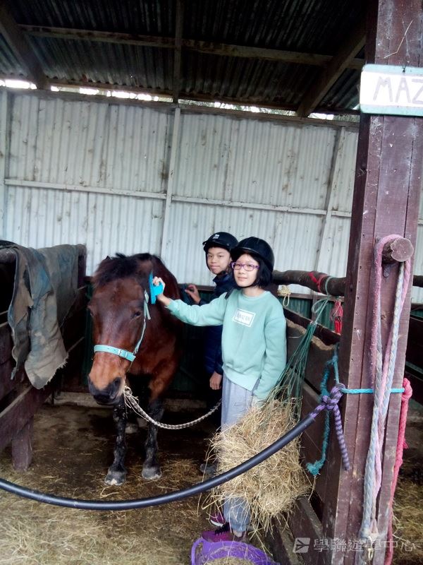 新西蘭農莊體驗之旅,學聯遊學團