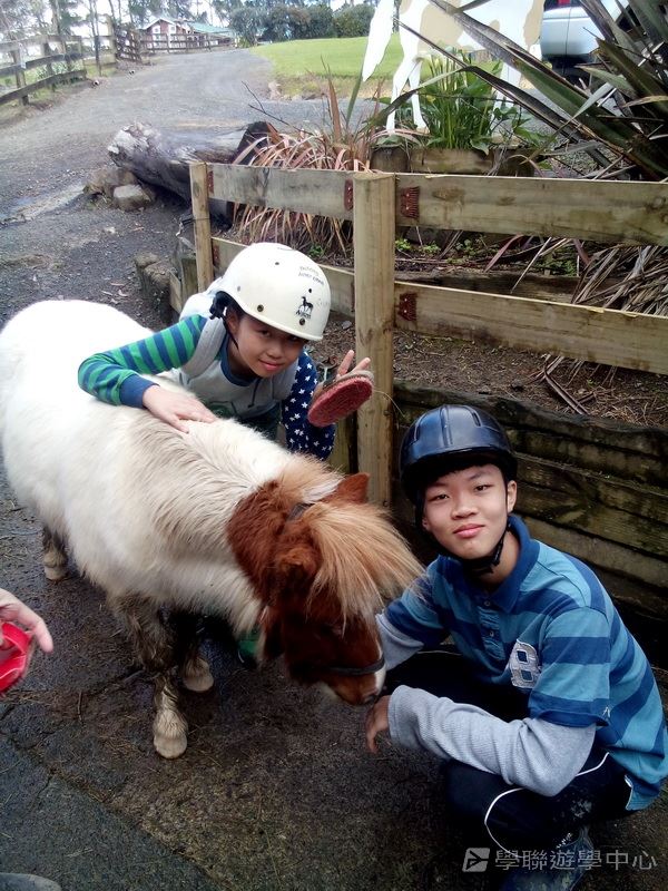 新西蘭農莊體驗之旅,學聯遊學團