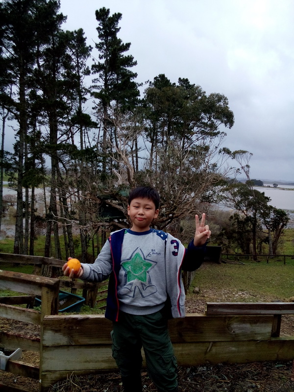 新西蘭農莊體驗之旅,學聯遊學團