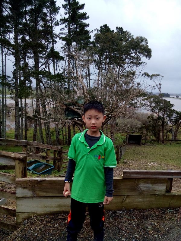 新西蘭農莊體驗之旅,學聯遊學團