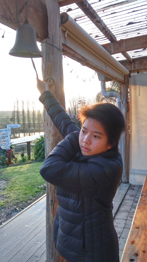 新西蘭農莊體驗之旅,學聯遊學團