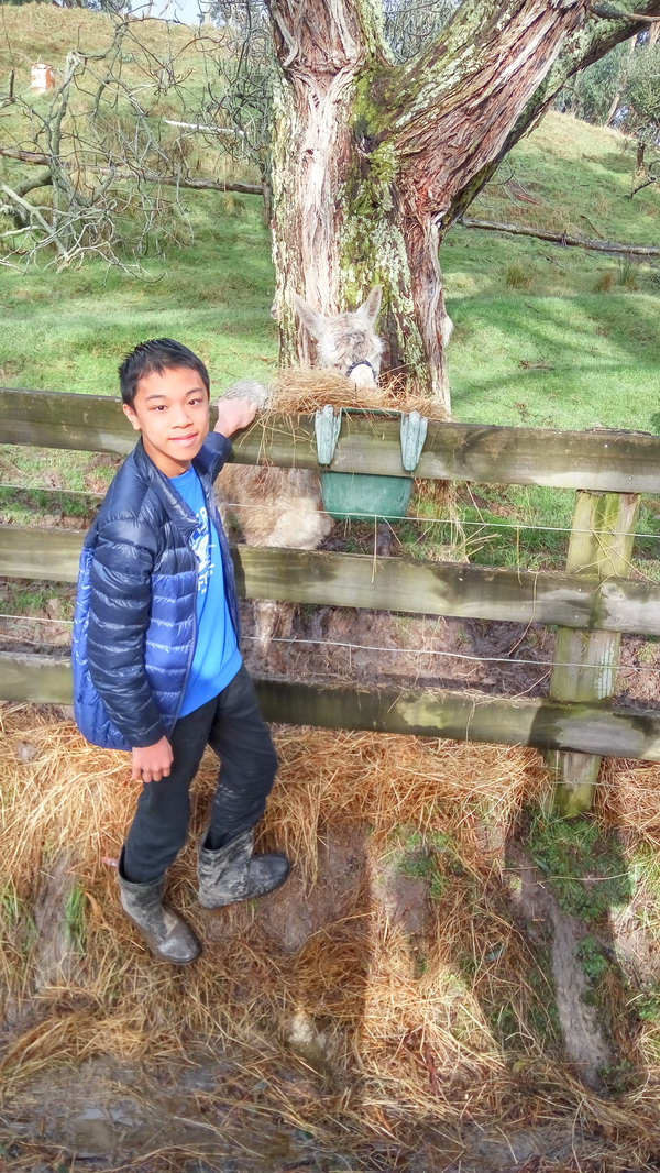 新西蘭農莊體驗之旅,學聯遊學團