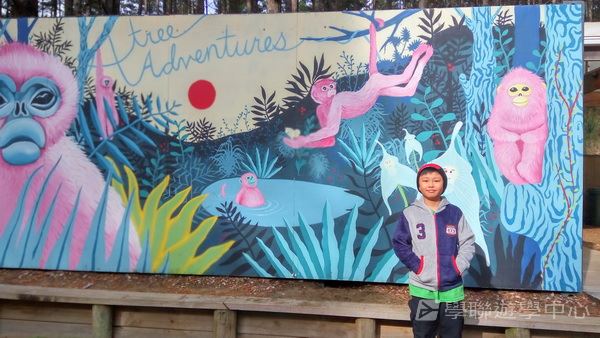 新西蘭農莊體驗之旅,學聯遊學團