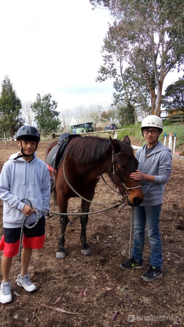 新西蘭農莊體驗之旅,學聯遊學團