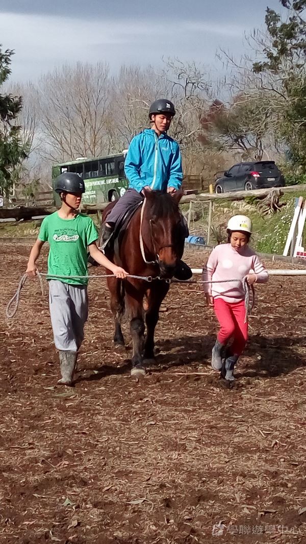 新西蘭農莊體驗之旅,學聯遊學團