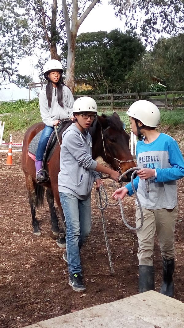 新西蘭農莊體驗之旅,學聯遊學團