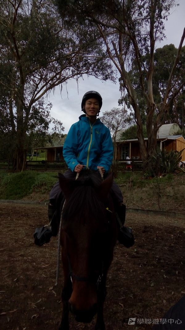 新西蘭農莊體驗之旅,學聯遊學團