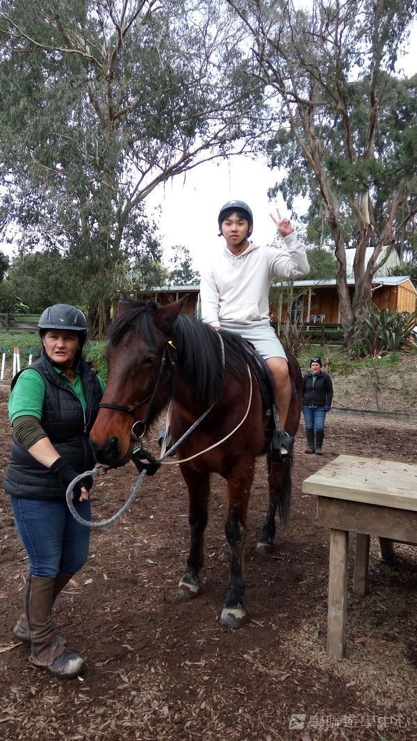 新西蘭農莊體驗之旅,學聯遊學團