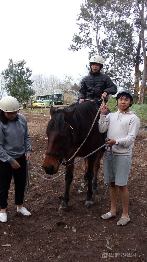 新西蘭農莊體驗之旅,學聯遊學團