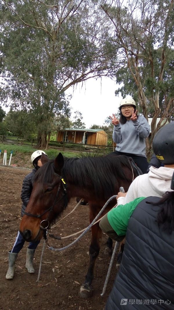 新西蘭農莊體驗之旅,學聯遊學團