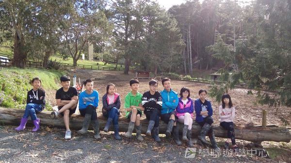 新西蘭農莊體驗之旅,學聯遊學團