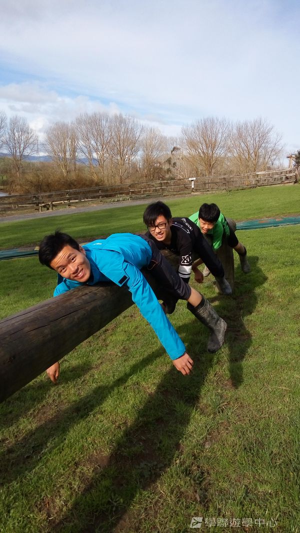 新西蘭農莊體驗之旅,學聯遊學團