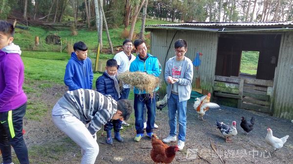 新西蘭農莊體驗之旅,學聯遊學團