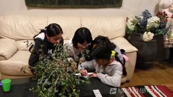 新西蘭農莊體驗之旅,學聯遊學團