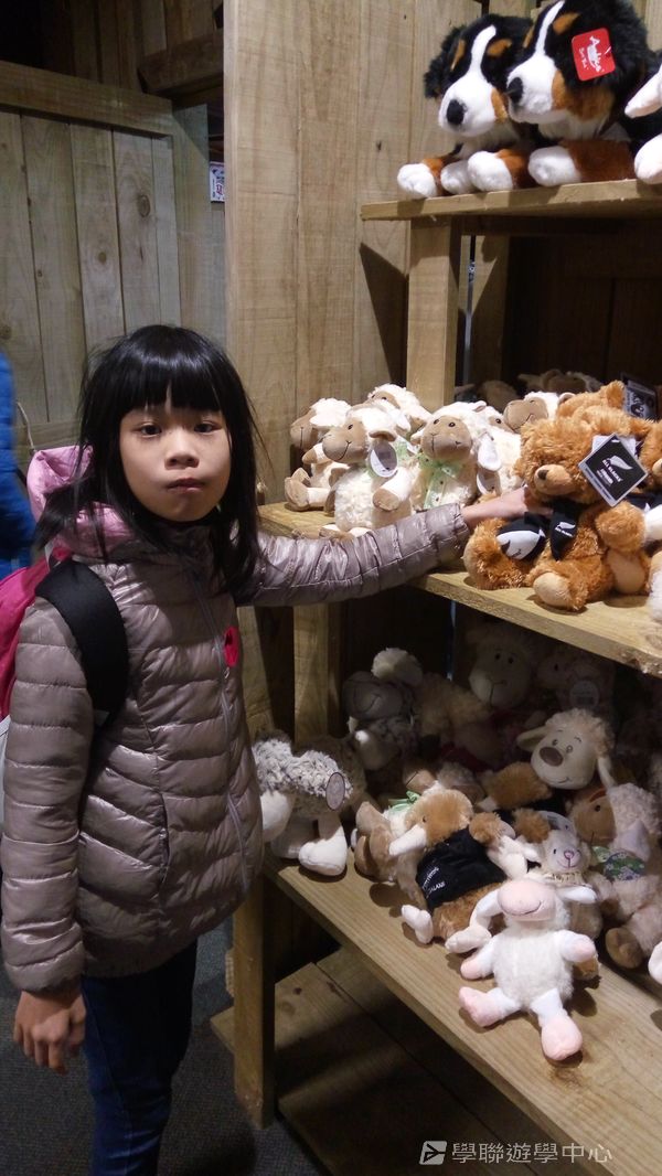 新西蘭農莊體驗之旅,學聯遊學團