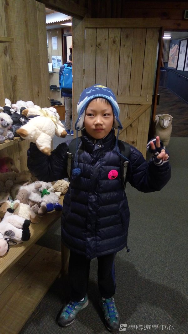 新西蘭農莊體驗之旅,學聯遊學團