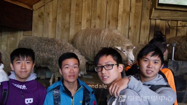 新西蘭農莊體驗之旅,學聯遊學團