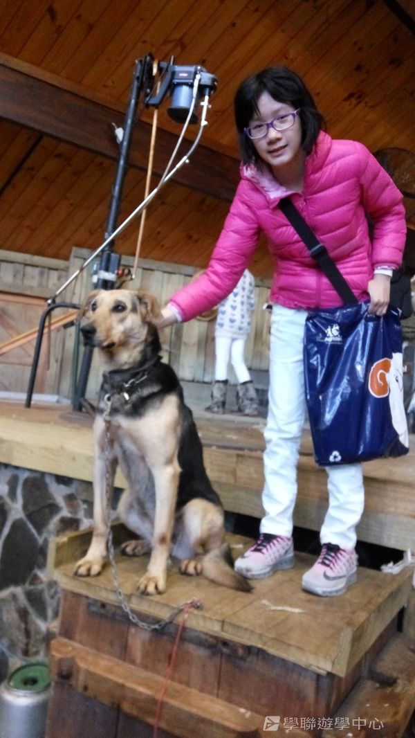 新西蘭農莊體驗之旅,學聯遊學團