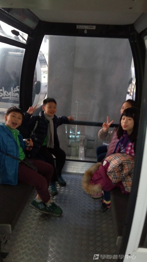 新西蘭農莊體驗之旅,學聯遊學團