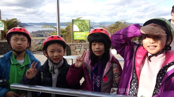 新西蘭農莊體驗之旅,學聯遊學團