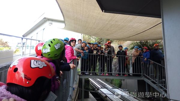 新西蘭農莊體驗之旅,學聯遊學團