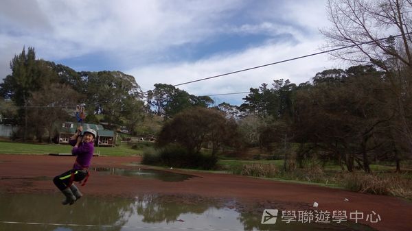新西蘭農莊體驗之旅,學聯遊學團