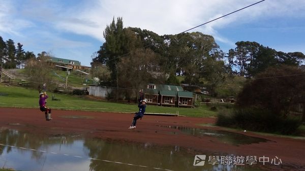 新西蘭農莊體驗之旅,學聯遊學團