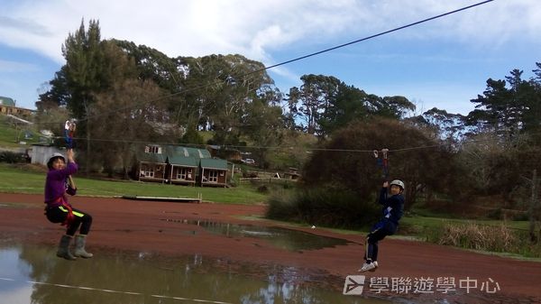 新西蘭農莊體驗之旅,學聯遊學團