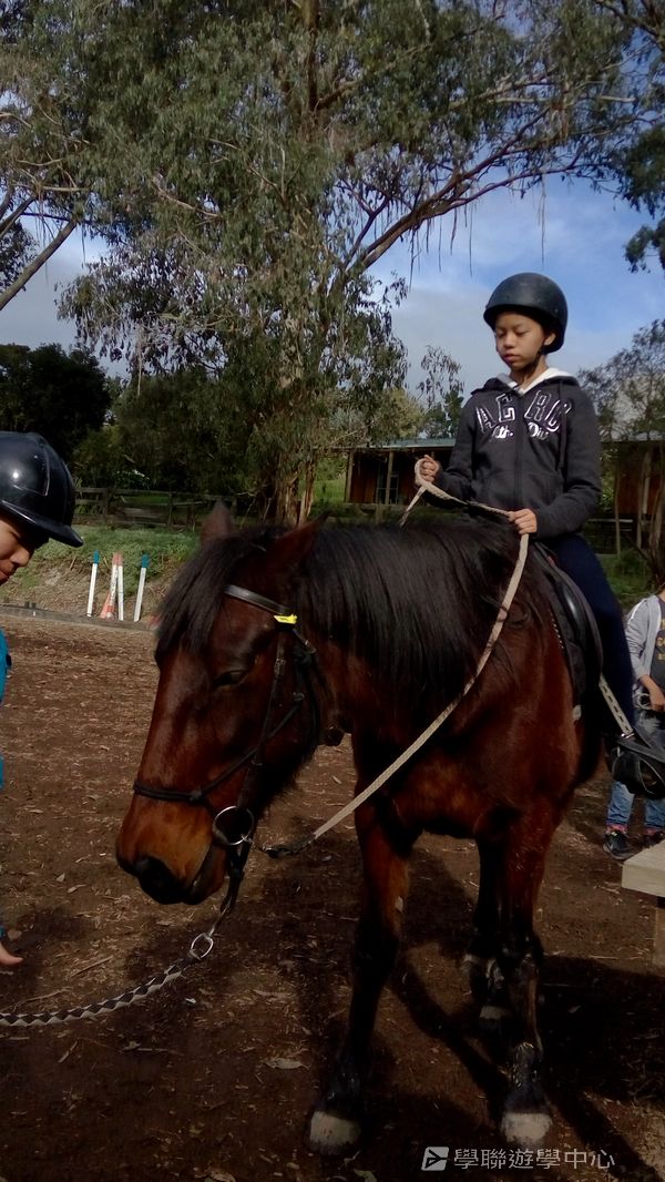新西蘭農莊體驗之旅,學聯遊學團