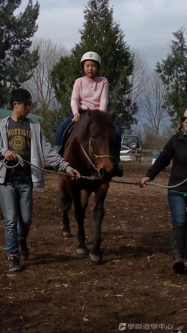 新西蘭農莊體驗之旅,學聯遊學團