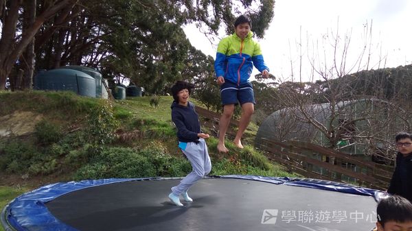 新西蘭農莊體驗之旅,學聯遊學團