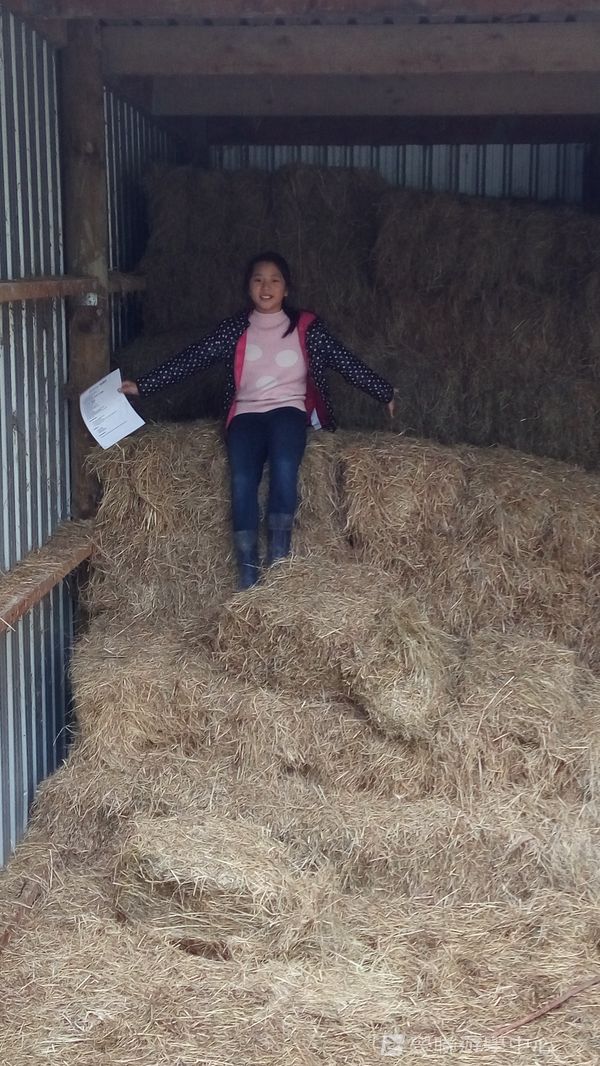 新西蘭農莊體驗之旅,學聯遊學團