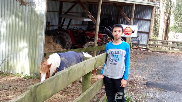 新西蘭農莊體驗之旅,學聯遊學團