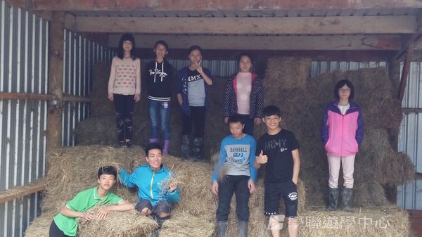 新西蘭農莊體驗之旅,學聯遊學團