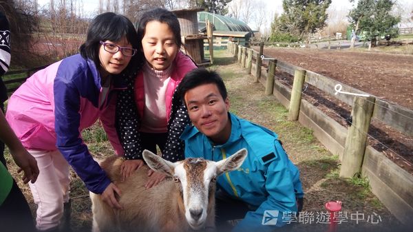 新西蘭農莊體驗之旅,學聯遊學團