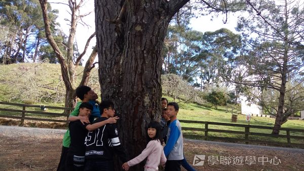 新西蘭農莊體驗之旅,學聯遊學團