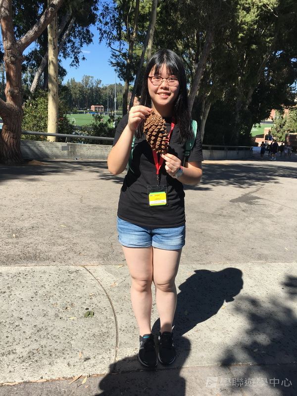 美國西岸名校體驗營 ,學聯遊學團