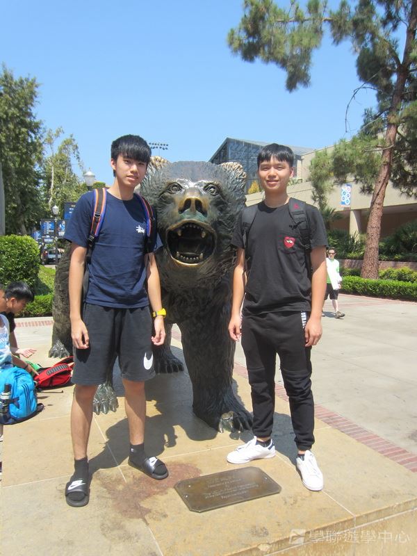 Michael Jordan籃球巨星訓練營,學聯遊學團