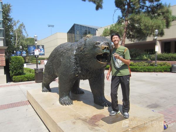 Michael Jordan籃球巨星訓練營,學聯遊學團