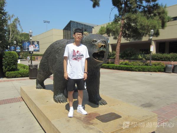 Michael Jordan籃球巨星訓練營,學聯遊學團