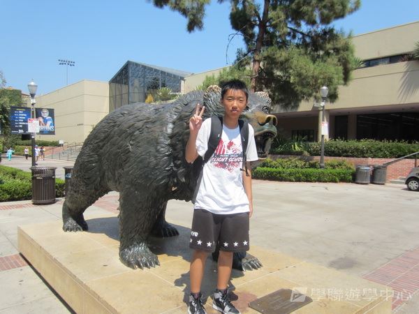 Michael Jordan籃球巨星訓練營,學聯遊學團