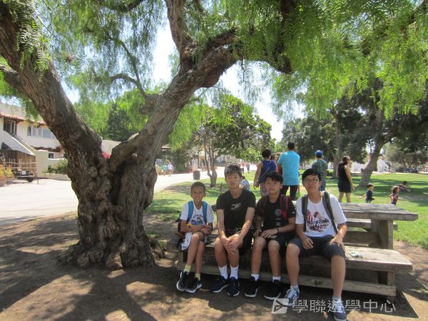 Michael Jordan籃球巨星訓練營,學聯遊學團