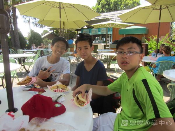 Michael Jordan籃球巨星訓練營,學聯遊學團