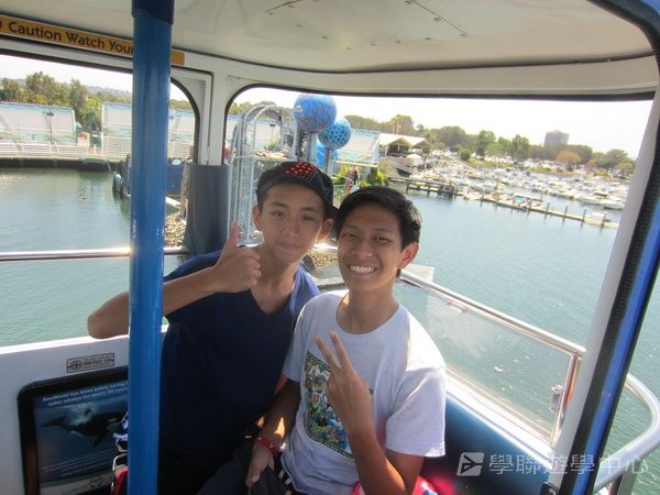 Michael Jordan籃球巨星訓練營,學聯遊學團