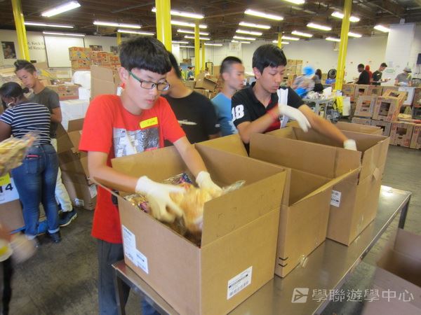 Michael Jordan籃球巨星訓練營,學聯遊學團